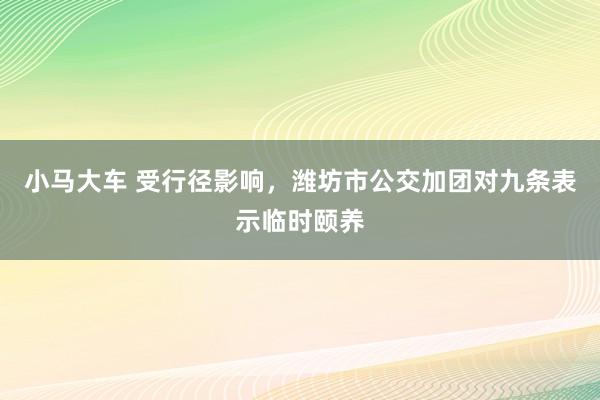 小马大车 受行径影响，潍坊市公交加团对九条表示临时颐养