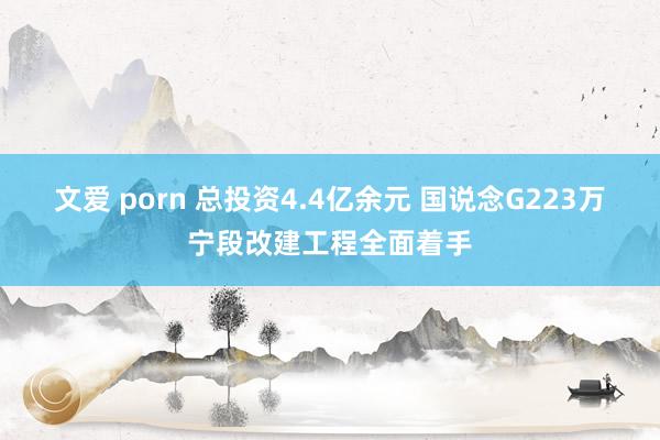 文爱 porn 总投资4.4亿余元 国说念G223万宁段改建工程全面着手