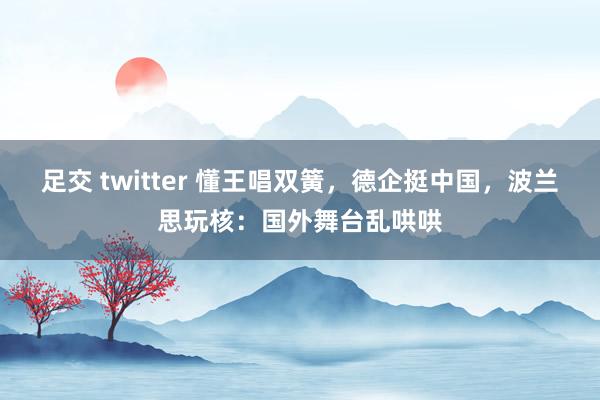 足交 twitter 懂王唱双簧，德企挺中国，波兰思玩核：国外舞台乱哄哄