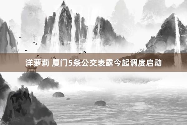 洋萝莉 厦门5条公交表露今起调度启动