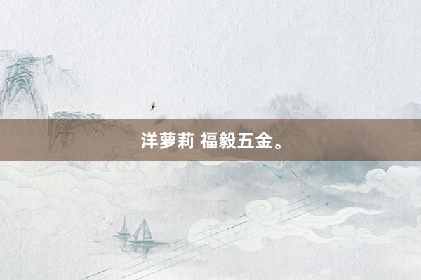 洋萝莉 福毅五金。