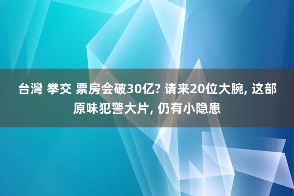 台灣 拳交 票房会破30亿? 请来20位大腕, 这部原味犯警大片, 仍有小隐患
