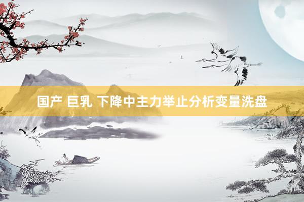 国产 巨乳 下降中主力举止分析变量洗盘